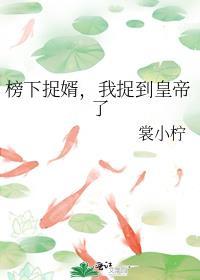 榜下捉婿,我捉到皇帝了